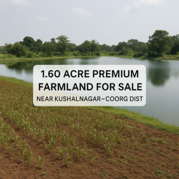 1.60 farmland for sale near kushalnagar coorg district