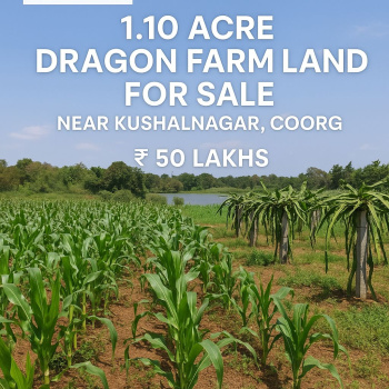 1.10 dragon farmland for sale near kushalnagar coorg district