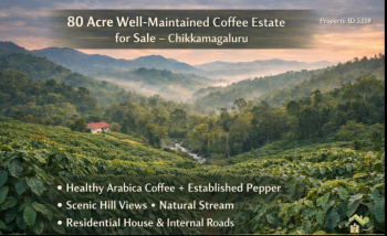 80 acre well maintained coeffe estate for sale chikamagaluru