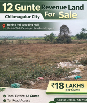 12 gunta revenue land for sale chikkamagaluru