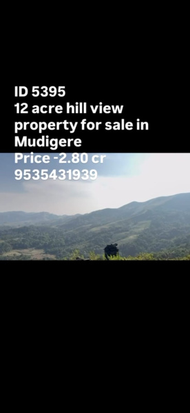 hill view land for sale mudigere scenic hills and stream