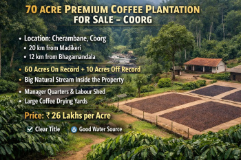 70 acre premium coeffe plantation for sale coorg