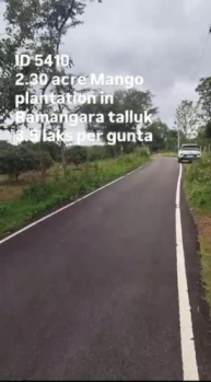 mango plantation for sale ramanagara taluk