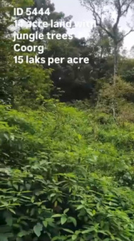 14 acre land for sale near aiyangeri coorg