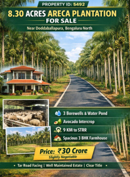 8. 30 acre prime areca plantation for sale doddaballapura bangalore