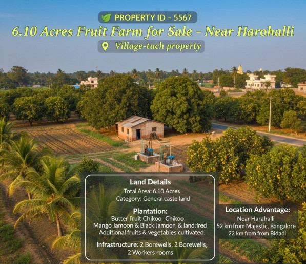 6.10 acre fruit farmhouse for sale near harohalli