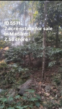 7 acres boundary coeffe esatate for sale near madikeri coorg