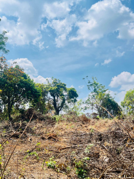 7 acres premium converted land for sale near madikeri coorg