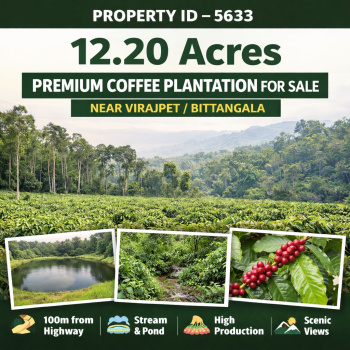 12.20 acre premium coeffe plantation for sale near virajpete
