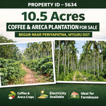10.5 acre coeffe and areca plantation for sale mysuru district