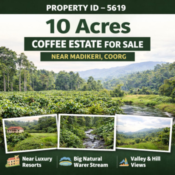 10.5 acres areca and coeffe plantation for sale coorg