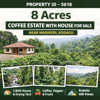 8 acres coeffe estate for sale near madikeri