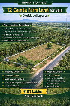 12 guntas farmland for sale near doddaballapura