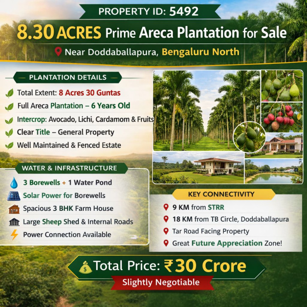 8. 30 acre prime areca plantation for sale near doddaballapura