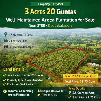 3.20 acre well maintained areca plantation for sal near doddaba;llapura