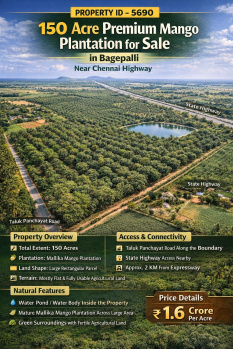 150 acre premium mango plantation for sale in bagepalli near chennai highway