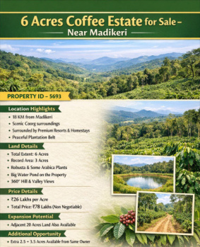 6 acre coeffe estate for sale near madikeri  kodagu
