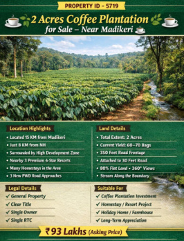 2 acre coeffe plantation for sale near madikeri