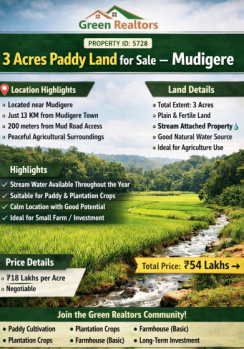 3 acre paddy land for sale mudigere