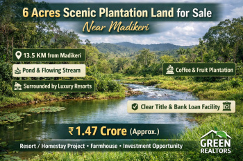 6 acres scenic plantation for sale near madikeri