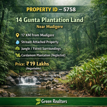 14 guntas neglected land for sale  near mudigere