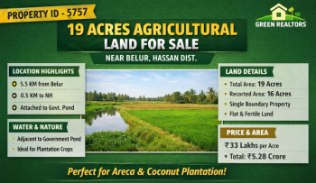 19 acre agricultural land for sale near belur hassan
