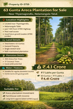 63 guntas areca plantation for sale near nelamangala bangalore