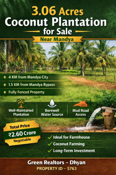 3.06 acre well maintained coconut plantation for sale near mandya