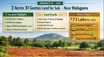 2 acres 31 gunta farmland for sale near halaguru