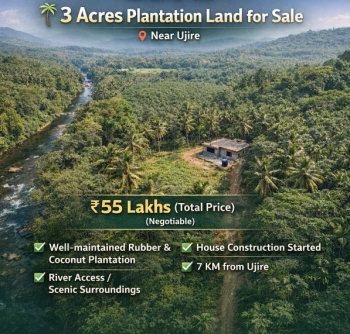 3 acres plantation for sale near ujire