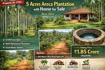 5 acres areca plantation for sale near ujire