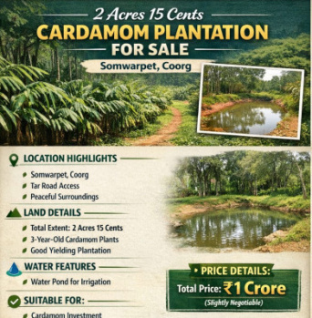 2 acre 15 cents cardamom plantation for sale coorg