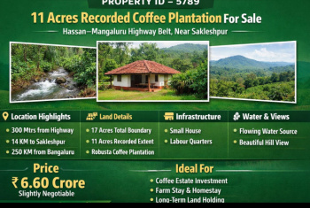 11 acres recorded coeffe plantation for sale near sakleshpura city