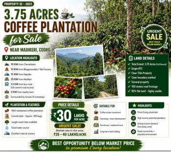 3.75 acres coeffe plantation for sale near  madikeri