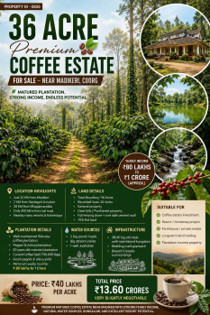 36 acre premium coeffe estate for sale near madikeri coorg
