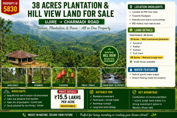 38 acres plantation for sale ujire charmadi road