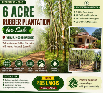 6 acres rubber plantation for sale moodbidre belt