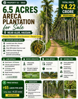 6.5 acres areca plantation for sale near alur hassan
