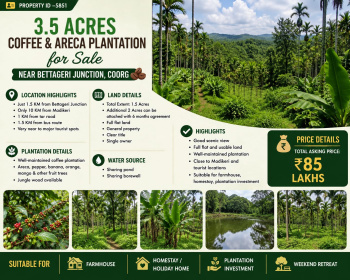 3.5 acres coeffe and areca plantation for sale near coorg