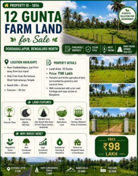 12 guntas farmland for sale doddaballapura banglore north