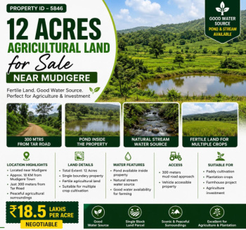 12 acres agricultural land for sale near mudigere