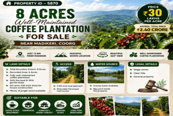 8 acres well maintained coeffe plantation for sale near madikeri coorg
