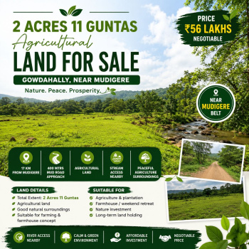 2 acres 11 guntas agricultural land for sale near mudigere