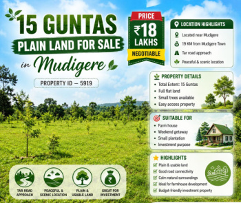 15 guntas plain land for sale near mudigere