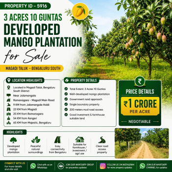 3.10 acres developed mango plantation for sale magadi taluk bangalore