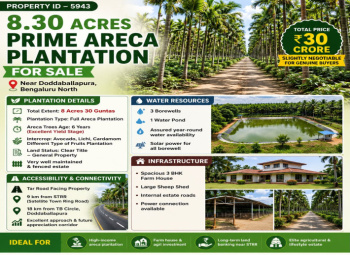 8.30 acres prime  areca plantation for sale in doddaballapura