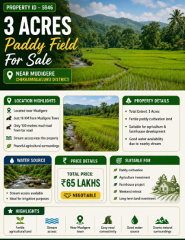3 acres paddy field for sale near mudigere
