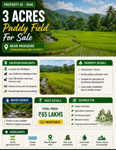 3 acres paddy field for sale near mudigere