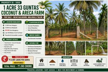 1 acres 33 guntas coconut and areca farm for slae near Halaguru malavalli taluk