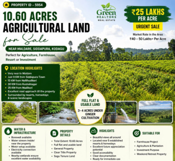 10. 60 acres agricultural land for sale near kodagu